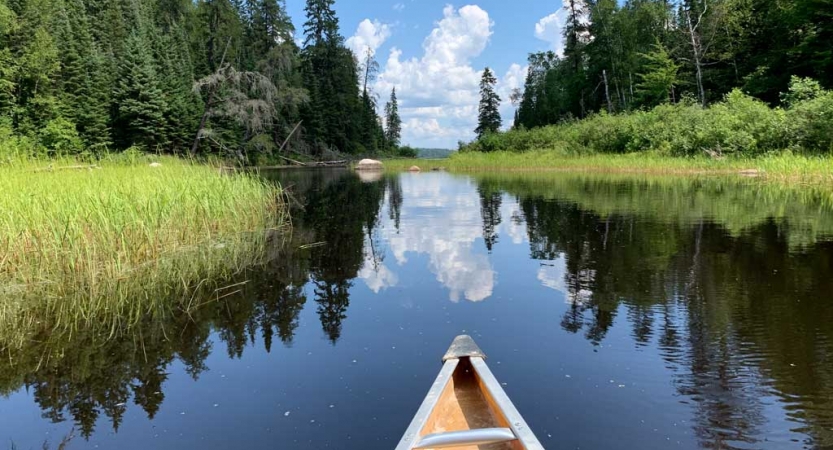 In the foreground, the tip of a canoe appears above very calm water, reflecting the grasses and trees on the shore, and the blue sky and clouds above. 